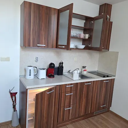 Rila Park By The Slopes Apartment Borovets