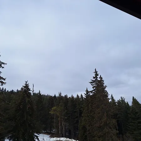 Apartment Rila Park By The Slopes