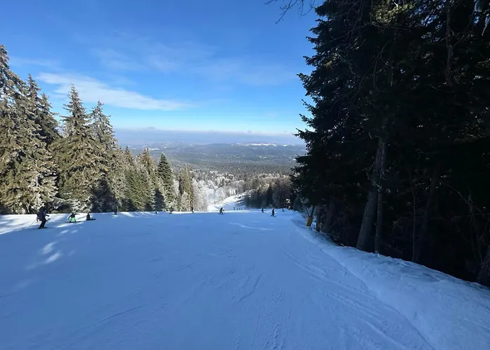 Rila Park By The Slopes Borovets