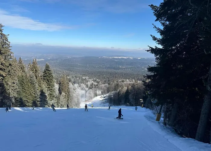 Daire Rila Park By The Slopes *