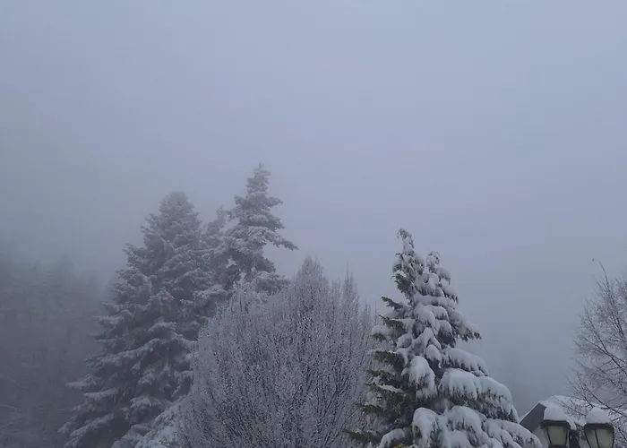 Rila Park By The Slopes *